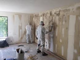 Best Mold Removal for HVAC Installations  in Ashland City, TN